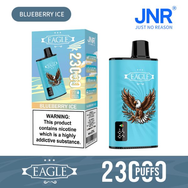 JNR Eagle - Image 4