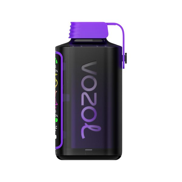 VOZOL Gear Power 20000 - Image 2
