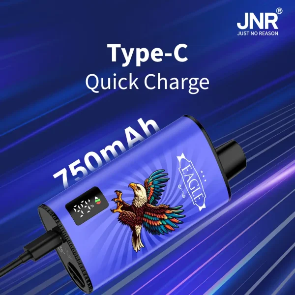 JNR Eagle - Image 3
