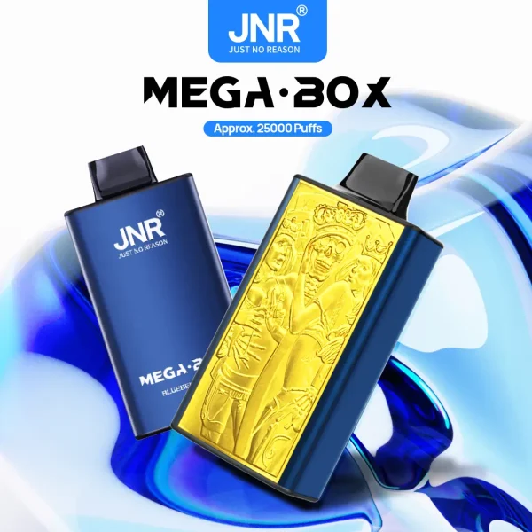 JNR Mega Box - Image 2